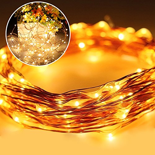 Microuse LEDBAVIER 30 bulbs copper String Lights Super Bright Warm White Indoor and Outdoor Battery Operated10 Ft Long Ultra Thin String Wire holiday decoration warm white