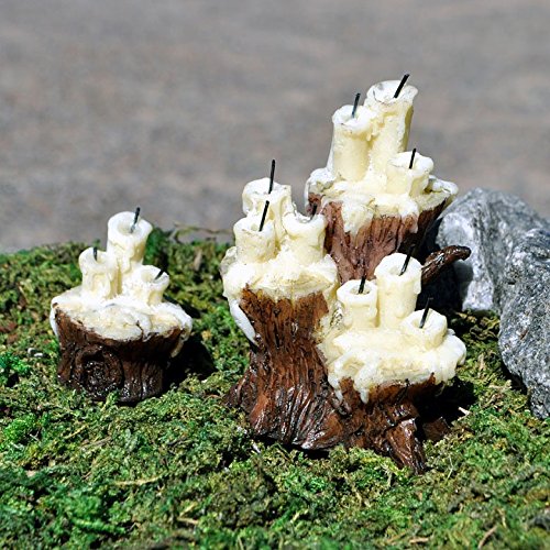 The Fiddlehead Fairy Garden Witches Den Candles - Set Of 2