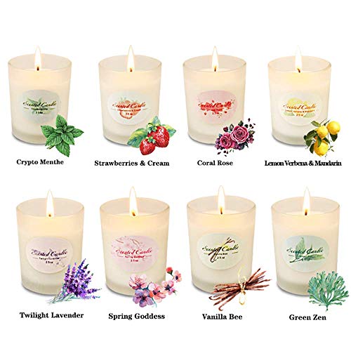 Y YUEGANG Gifts for Women Scented Candles Natural Soy Wax 8 x 25 Oz Portable Glass Candles with Strongly Fragrance Essential Oils for Stress Relief and Aromatherapy - 8 Pack