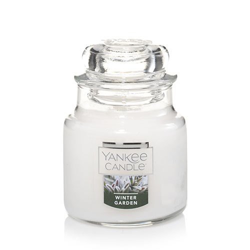 Yankee Candle Winter Garden Small Jar Candle