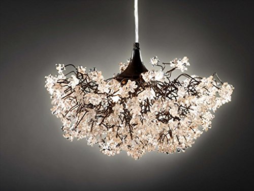 Chandeliers -Transparent Flower Ceiling Lights - light fixtures for the dining room - Bedroom lighting -Living Room lighting - Kitchen Pendant Lightshades