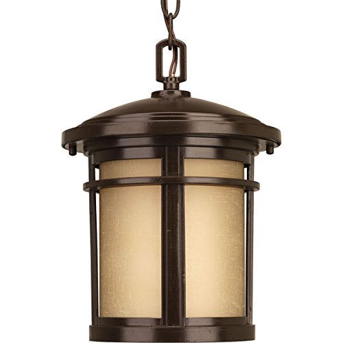 Progress Lighting P6524-20 1-100w Med Hanging Pendant Antique Bronze