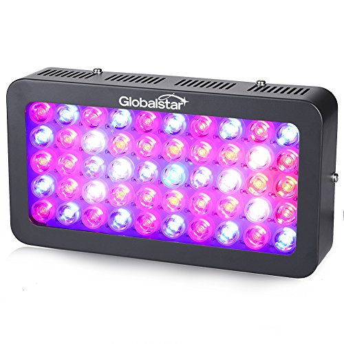 Global Star&reg 300w Led Grow Light Full Spectrum For Indoor Plants Greenhouse Growing Lamp Fixtures 50x6w And 2