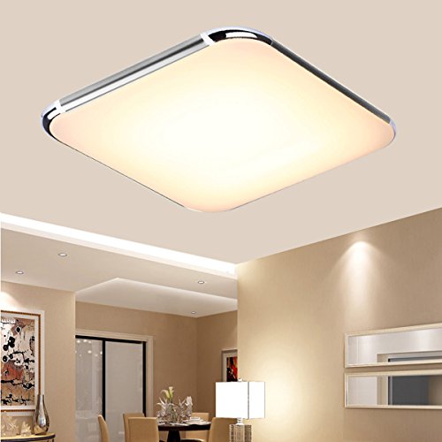 Floureon 25 inch Super Thin Flush Mount LED Ceiling Light with 24G Wireless Remote Control Infinite Dimming for Living Room Bedroom Hotel Bakery 3000LM 100~240V48W Silver