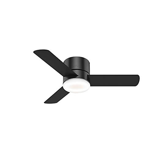 Hunter Indoor Low Profile Ceiling Fan with LED Light and remote control - Minimus 44 inch Black 59453