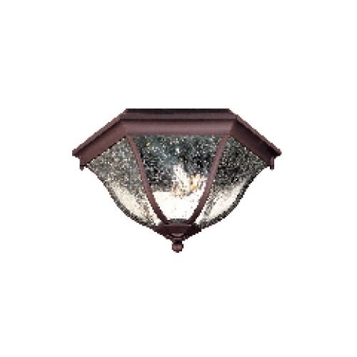 Acclaim 5615ABZ Flush Mount Collection 2-Light Ceiling Mount Outdoor Light Fixture Architectural Bronze