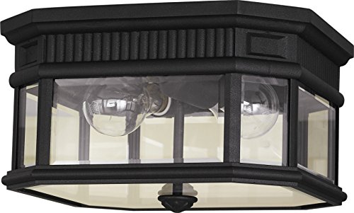 Murray Feiss OL5413BK Cotswold Lane Ceiling Fixture 2 Light 120 Watts Black