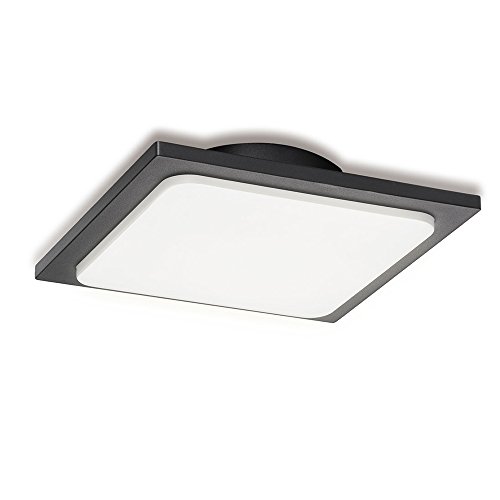 Inowel Outdoor Ceiling Lamp Surface Mounting LED Wall Lamp Painted Dark Grey Color Aluminium Finished 3000K Warm Light