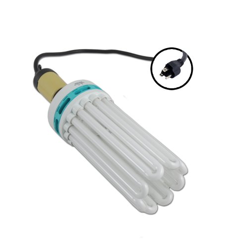 250 Watt CFL Compact Fluorescent 2700K Mogul Socket Kit for Flowering