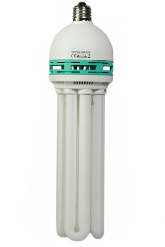 Hydroponic Full Spectrum CFL Grow Light Bulb 105 Watt 5500K Perfect Daylight balanced pure white light Bulb H105