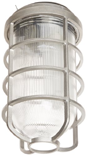 RAB Lighting VC200DGF22 Vaporproof VC Ceiling Mount CFL Lamp with Glass Globe and Cast Guard Quad Type Aluminum 22 Watts 1200 Lumens 120 Volts Natural