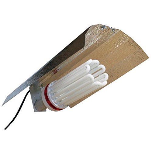 SPL Horticulture 150 Watt CFL Compact Fluorescent Grow Light Bulb System of 2700k for Plant Growing