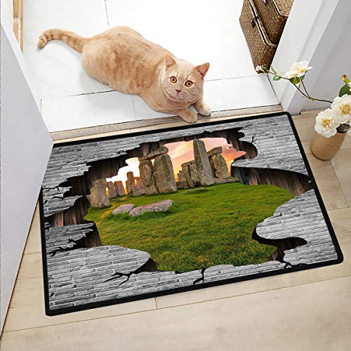 Ngjikaju decor Outside Rugs Patio Stonehenge in The Sun Door Mats Inside Playroom Rug 20x32 Inch