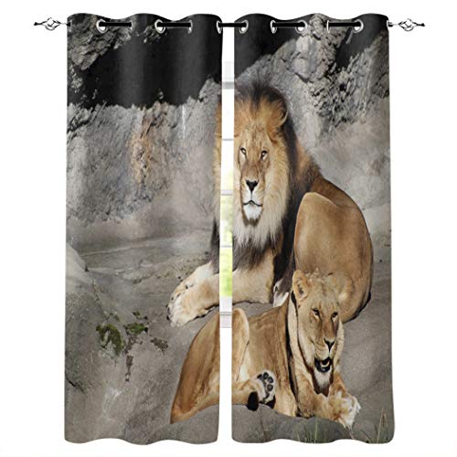 Vandarllin Blackout Curtains Drapes African Lion Couples Animal Thermal DoorWindow Treatment Set for Home，Bedroom，LivingDiningKids Room，Patio（52x72 Inch，2 Panels） Stone