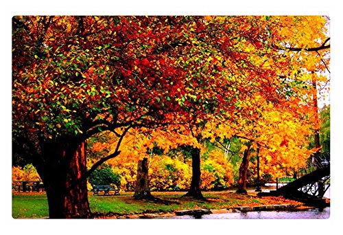 Irocket Indoor Floor Rugmat - Bridge On A Pond In An Autumn Park 236 X 157 Inches