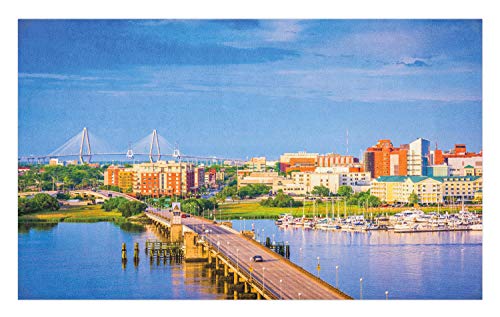 Ambesonne Charleston Doormat South Carolina Landscape Bridge Over Ashley River Spring Season Morning Scene Decorative Polyester Floor Mat with Non-Skid Backing 30 X 18 Multicolor