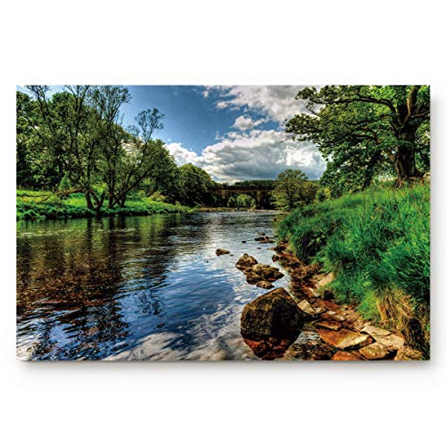 Doormats Non-Slip Intdoor Door MatsNatural Landscape Bridge Over a Stream in Forest 16 x 24 inch Large Thin Low Pile Machine Washable Bathroom Kitchen Hallway Entry