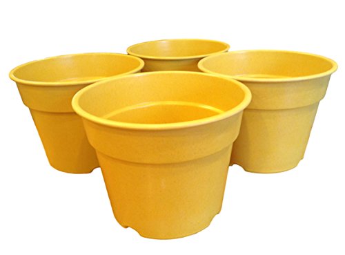 Rossos International 56-Inch by 71-Inch Buttercup Decorative Biodegradable Bamboo Pot Pack of four