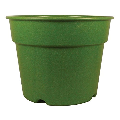 Rossos International P5-4 56 X 71 Grass Decorative Biodegradable Bamboo Pot