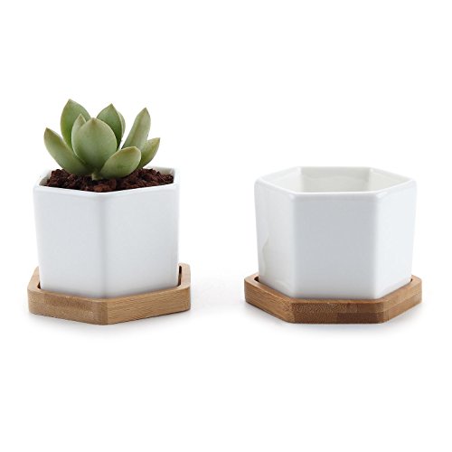 T4u 275 Inch Ceramic Six Sizes Sucuulent Plant Potcactus Plant Pot With Bamboo Tray White Package 1 Pack Of 2