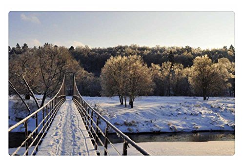 Irocket Indoor Floor Rug/mat - Foot Bridge Over River In Winter (23.6 X 15.7 Inches)