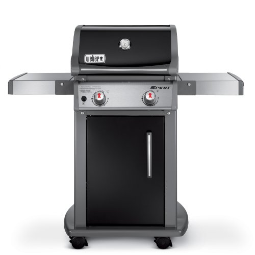 Weber 46110001 Spirit E210 Liquid Propane Gas Grill, Black