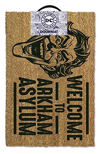 Batman - Door  Floor Mat Size 24 x 16 Doormat Welcome To Arkham Asylum