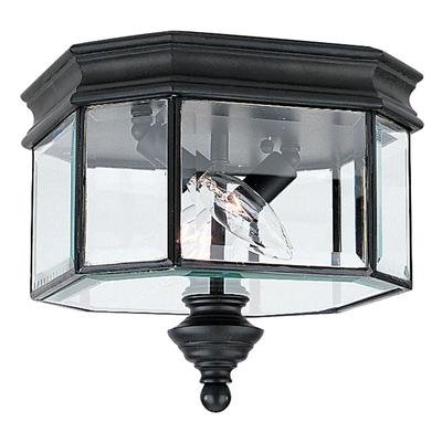 Sea Gull Lighting 8834-12 Hill Gate Cast Aluminum Outdoor Ceiling Lighting 012W Black