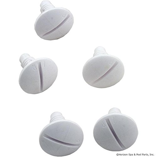 Pentair LLC55PM Gray Plastic Wheel Screw Replacement Automatic Pool and Spa Cleaner Set of 5