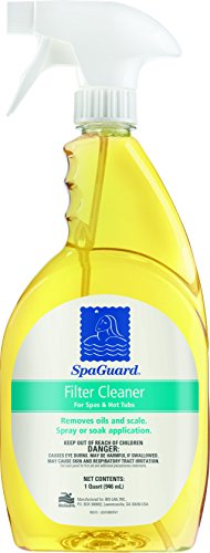 Spaguard Spa Filter Cleaner - Quart