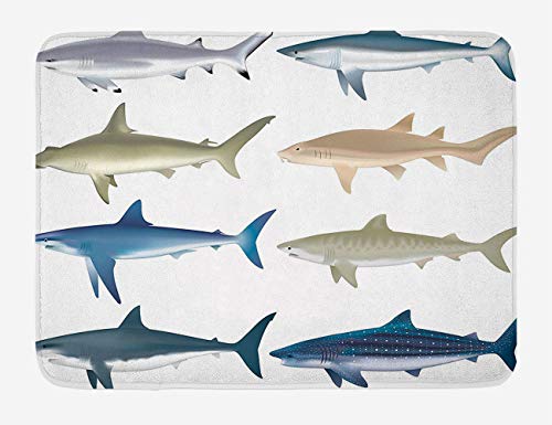 Entrance Floor mat Floor Kitchen Restaurant Living Hallway Bathroom Entrance RugSea Animal Decor Types of Angel Cow Hammerhead Sand Sharks Mammals Species Nautical Graphic Bath mat