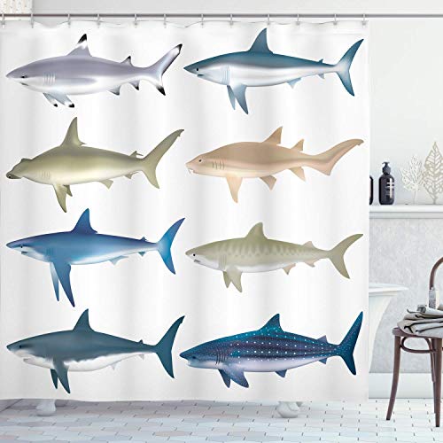 Fred Melvin Sea Animal Decor Shower Curtain by Types of Angel Cow Hammerhead Sand Sharks Mammals Species Nautical Graphic Fabric Bathroom Decor Set with Hooks 72X72IN