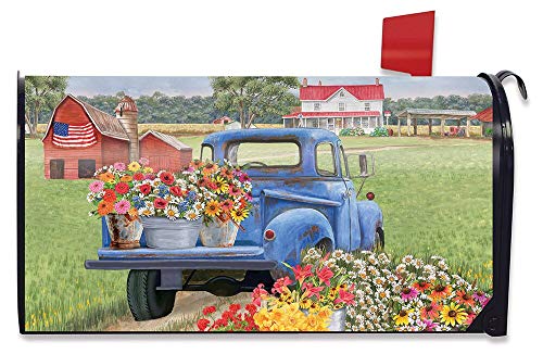 Briarwood Lane Day On The Farm Spring Large Mailbox Cover Pick-up Oversized