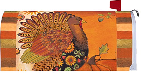 &quot Folk Turkeyquot - Magnetic Mailbox Makeover Cover - Thanksgiving  Fall Themed