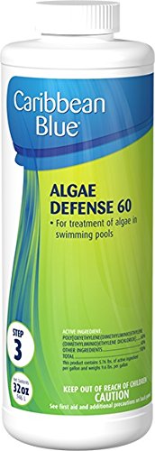 Algae Defense 60 Swimming Pool Algaecidealgicide By Caribbean Blue Poolamp Spa Chemicals