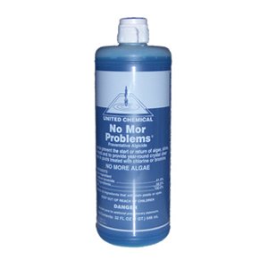 No Mor Problems Swimming Pool Algaecide - 1 Quart