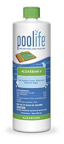 Poolife Algae Ban Ii Quart Pool Algaecide 32 Oz