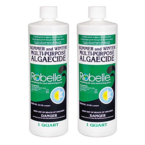 Robelle 2110-02 SummerWinter Algaecide for Swimming Pools 2 Pack 1 quart