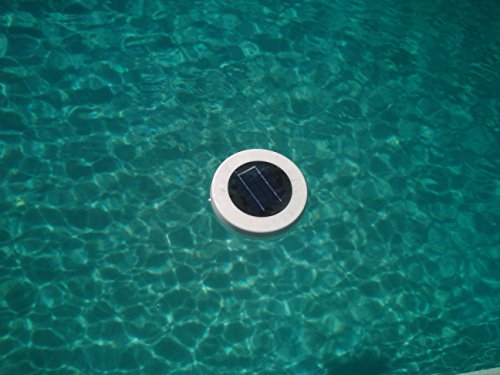 Remington Solar Solar Powered Pool Ionizer And Cleaner
