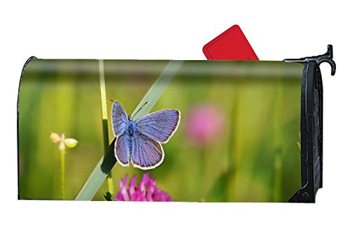 BABBY Mailbox Covers Animal Butterfly Front Door Decor - Vinyl Magnetic Cover