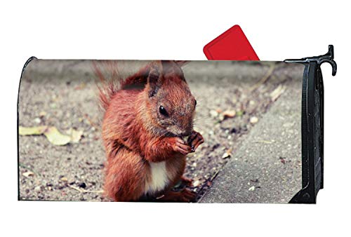 em1973 Mailbox Covers Squirrel Front Door Decor - Vinyl Magnetic Cover