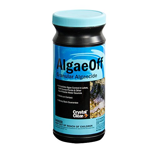 CrystalClear AlgaeOff String Algae Remover 1 lb