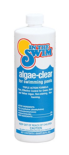 In The Swim Algae-Clear Pool Algaecide - 12 x 1 qt