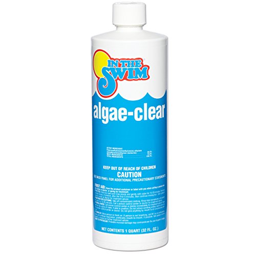 In The Swim Algae-clear Pool Algaecide - 1 Quart