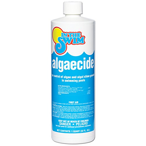 In The Swim Swimming Pool Algaecide - 1 Quart