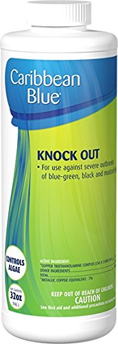 Knock Out Swimming Pool Algae Killer by Caribbean Blue Pool Spa Chemicals