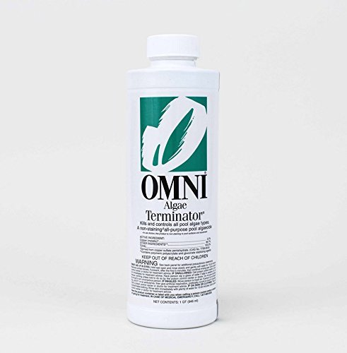 Omni Swimming Pool Algae Terminator Algicide 23500OMN - 1 Quart by Omni