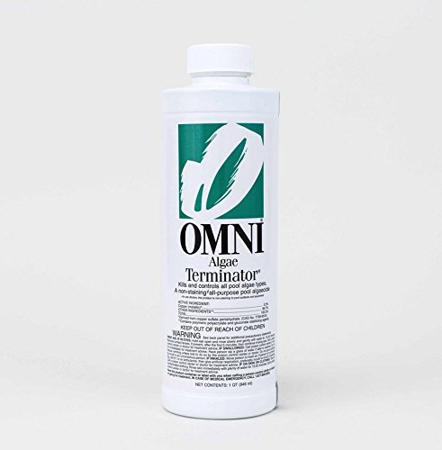 Omni Swimming Pool Algae Terminator Algicide 23500omn - 1 Quart