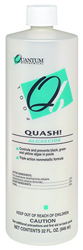 32oz Quantum Quash Algaecide For Green Black And Yellow Algae For Swimming Pools