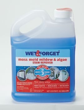 Wet And Forget 10587 1 Gallon Moss Mold And Mildew Stain Remover